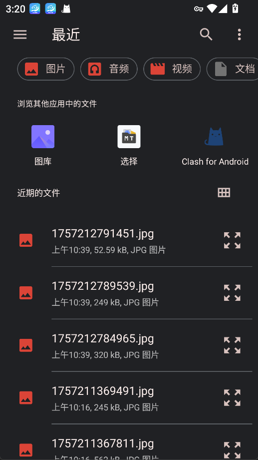 live2dviewerex官方正版