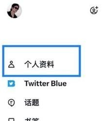 X官方正版