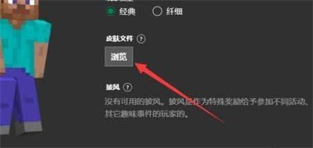 Skinseed皮肤制作器