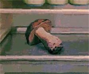 寻找伪人正版