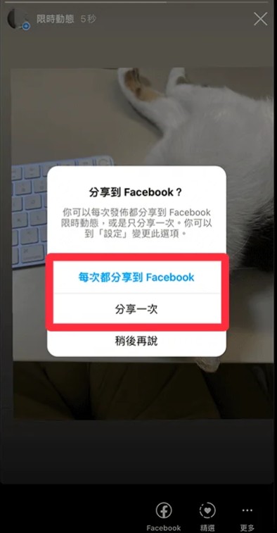 Instagram正版