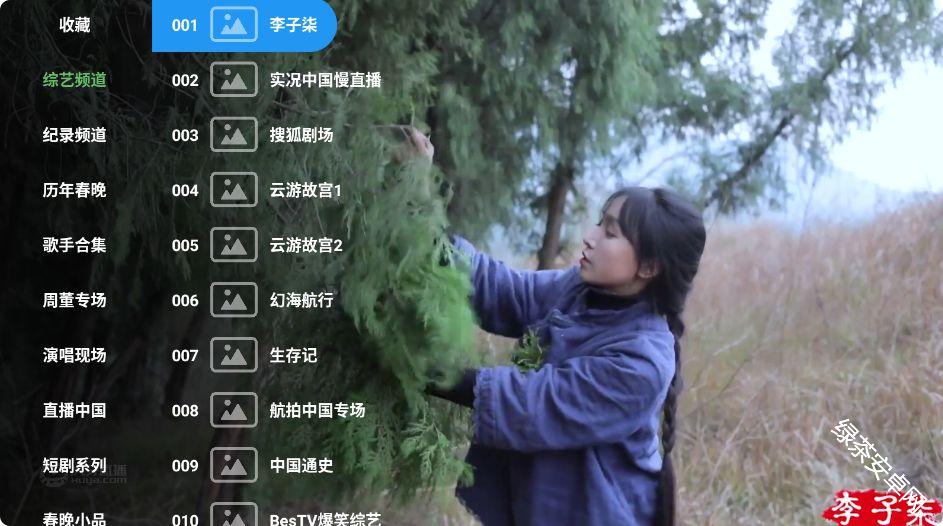 蜂巢直播Max