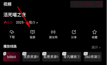 漫猫