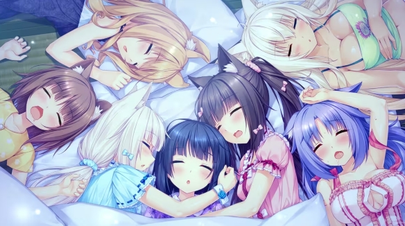 猫娘乐园0截图2