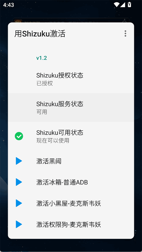用Shizuku激活截图3