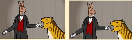 兔子先生的魔术秀