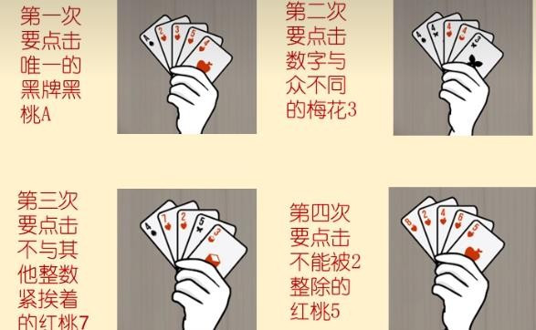 兔子先生的魔术秀