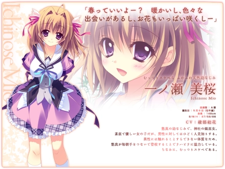 恋花绽放樱飞时