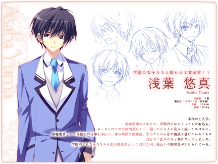 恋花绽放樱飞时