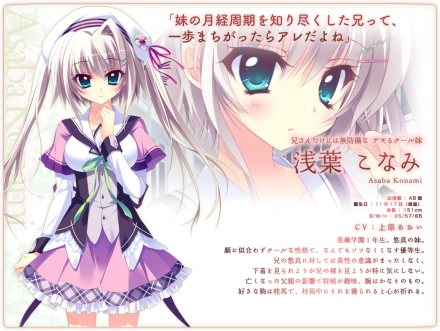 恋花绽放樱飞时