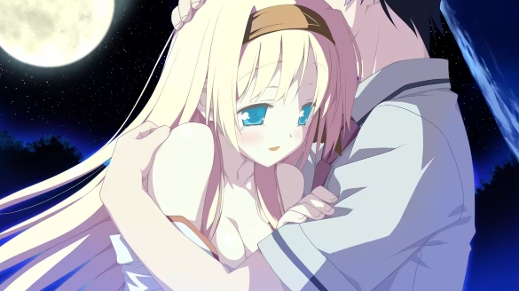 星空的记忆HD截图4