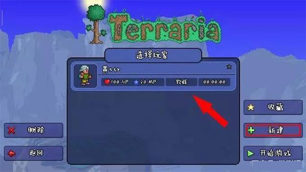 Terraria泰拉瑞亚
