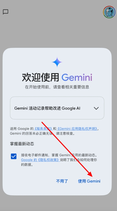 GeminiAI
