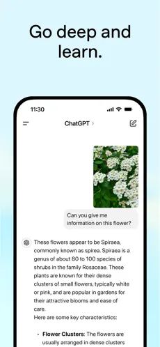 ChatGPT截图1