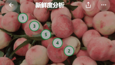 FruitAI截图1