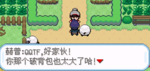 口袋妖怪剑盾像素版截图5