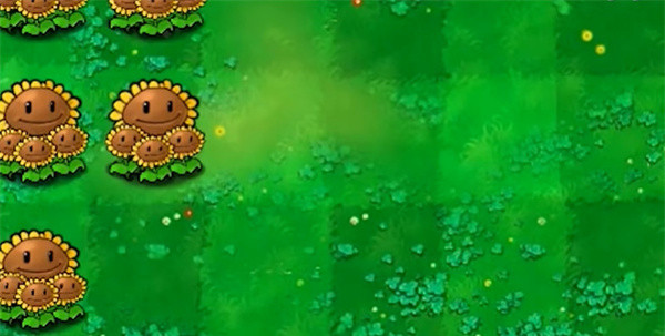 植物介绍配图2