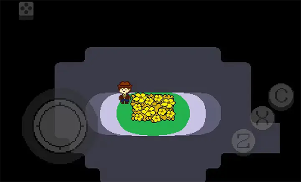 传说之下黄金正义截图3