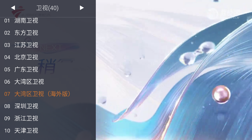 WebView电视截图1