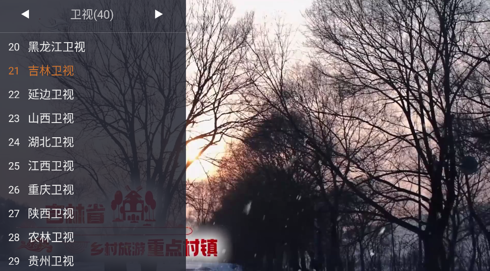 WebView电视截图3