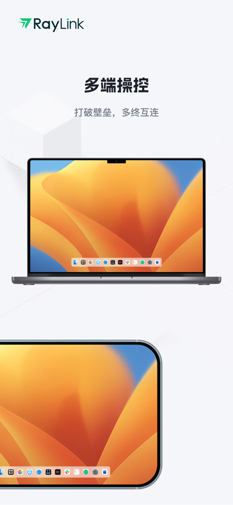 RayLink截图4
