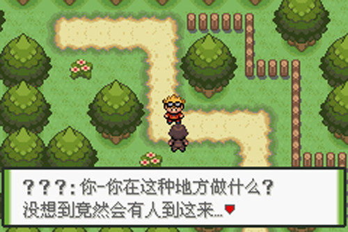 口袋妖怪釉色汉化版游戏截图9