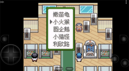 口袋妖怪釉色汉化版游戏截图12